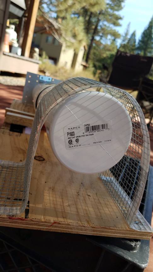 sqt-012.jpg